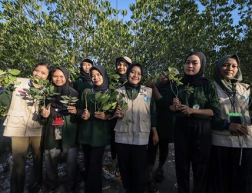 Kegiatan Identifikasi Mangrove Mahasiswa KKN Tematik Universitas Mataram di Dusun Cemare, Desa Lembar Selatan