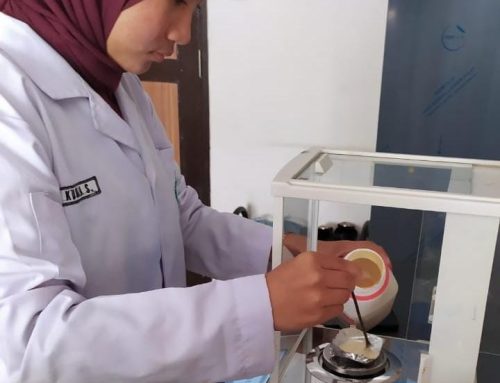 Mahasiswa Pendidikan Biologi Eksplorasi Mikroba Lokal Mangrove sebagai Biofertilizer