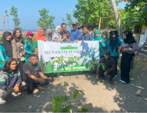 Mahasiswa FKIP Universitas Mataram dan SMAN 3 Mataram: Bersatu dalam Menanam Mangrove demi Pelestarian Lingkungan dan SDGs